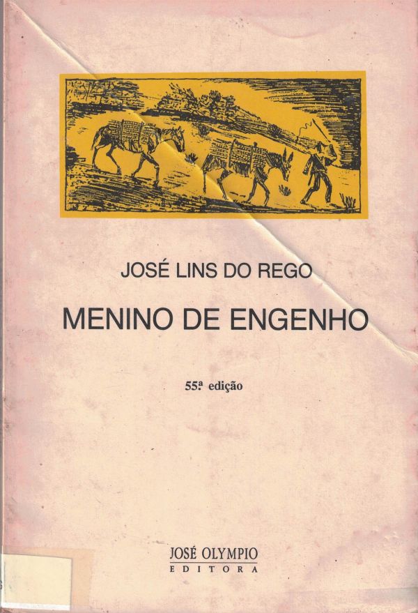 Menino de Engenho